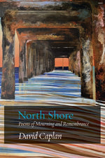 Book cover for North Shore: Poems of Mourning and Remembrance