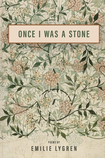 Book cover for Once I Was a Stone