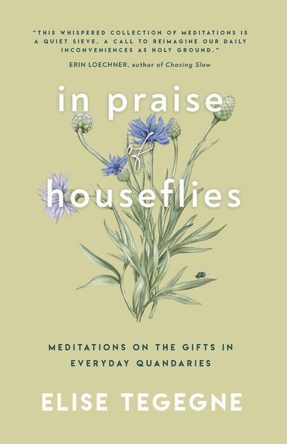 Book cover for In Praise of Houseflies: Meditations on the Gifts in Everyday Quandaries