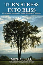 Book cover for Turn Stress Into Bliss: Life-changing strategies for finding meaning and fulfillment