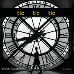 Book cover for tic tic tic