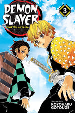 Book cover for Demon Slayer: Kimetsu No Yaiba, Vol. 3