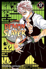 Book cover for Demon Slayer: Kimetsu No Yaiba, Vol. 17