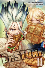Book cover for Dr. Stone, Vol. 11