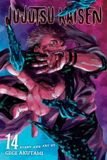 Book cover for Jujutsu Kaisen, Vol. 14