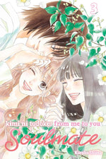 Book cover for Kimi Ni Todoke: From Me to You: Soulmate, Vol. 3