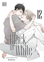 Book cover for Black or White, Vol. 12
