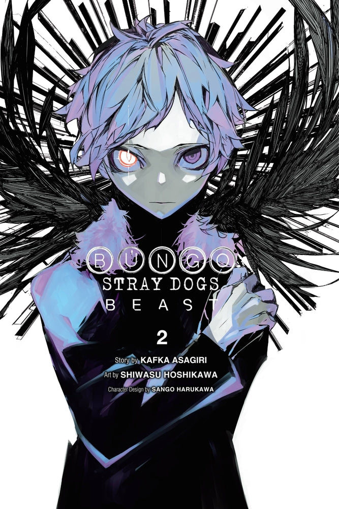 Book cover for Bungo Stray Dogs: Beast, Vol. 2