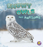 Book cover for Snowy Owls Are Awesome
