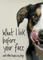 Book cover for What I Lick Before Your Face: And Other Haikus by Dogs