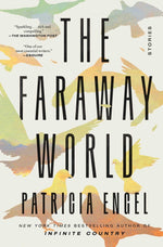 Book cover for The Faraway World: Stories