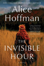 Book cover for The Invisible Hour