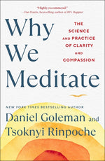 Book cover for Why We Meditate: The Science and Practice of Clarity and Compassion
