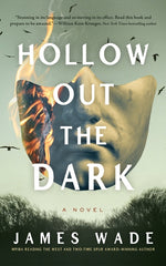 Book cover for Hollow Out the Dark