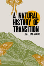 Book cover for A Natural History of Transition
