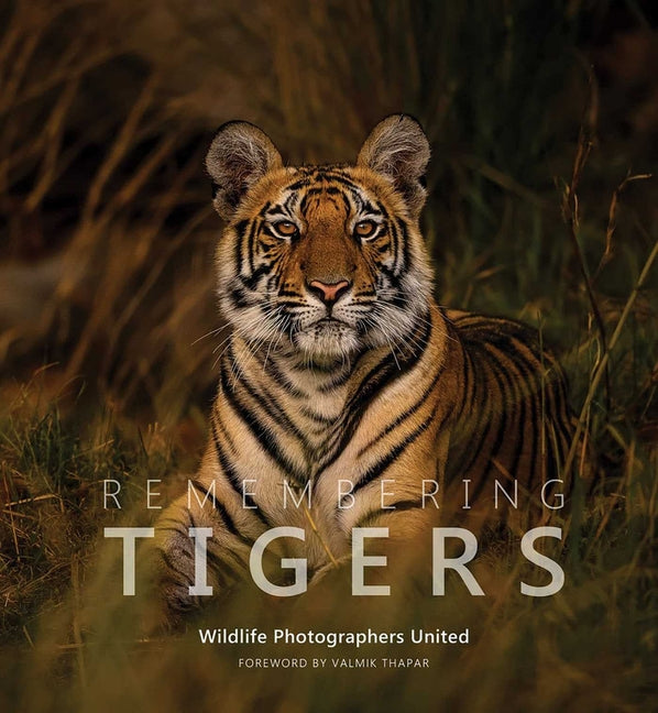 Book cover for Remembering Tigers