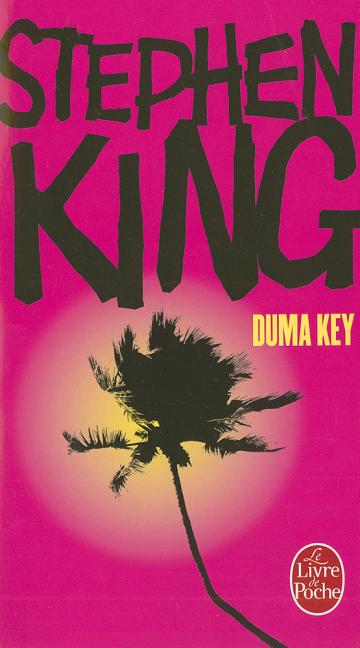 Book cover for Duma Key