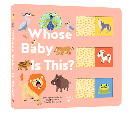 Book cover for Whose Baby Is This?