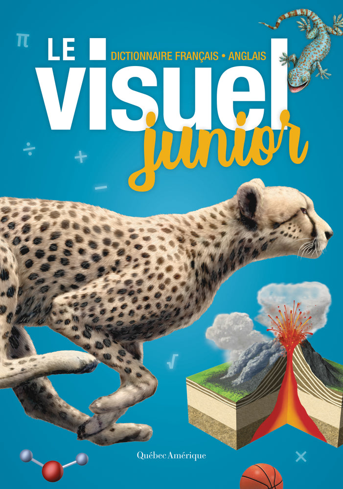Book cover for Le Visuel Junior: Dictionnaire Français - Anglais