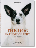 Book cover for The Dog in Photography 1839-Today