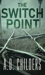 Book cover for Switch Point