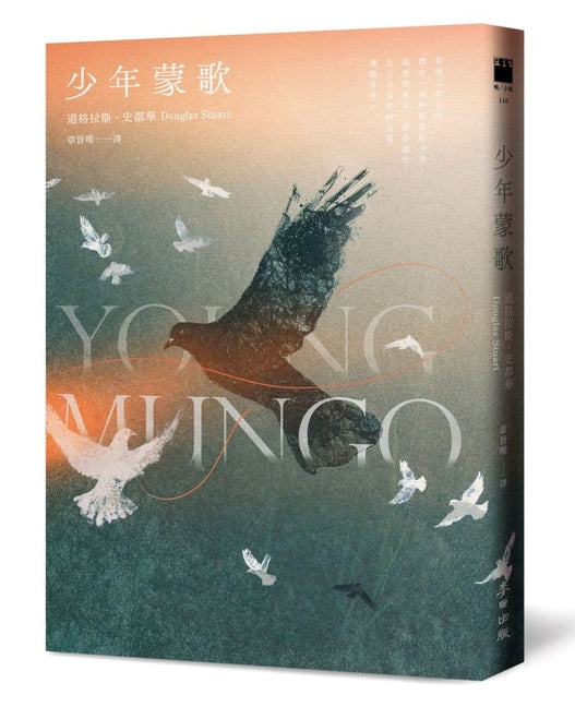 Book cover for Young Mungo