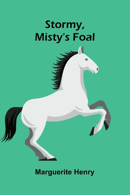 Book cover for Stormy, Misty's Foal