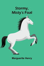 Book cover for Stormy, Misty's Foal