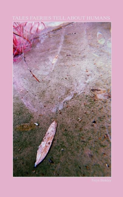 Book cover for Tales Faeries Tell About Humans