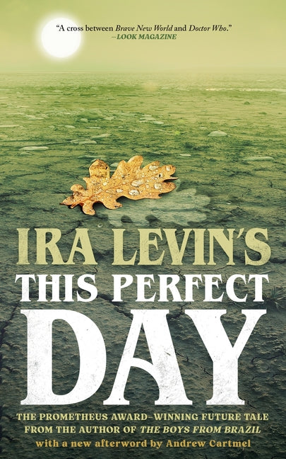 Book cover for This Perfect Day