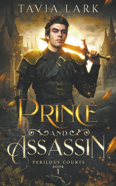 Book cover for Prince and Assassin