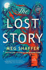 Book cover for Lost Story