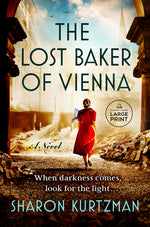 Book cover for Lost Baker of Vienna