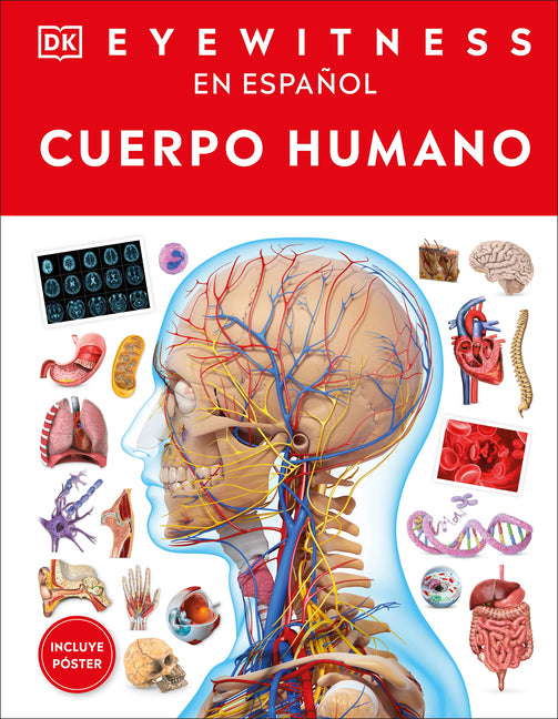 Book cover for Eyewitness: Cuerpo Humano (Human Body)