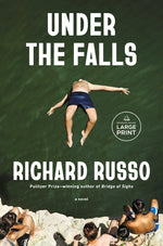 Book cover for Under the Falls