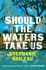 Book cover for Should the Waters Take Us