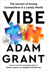 Book cover for Vibe: The Secrets of Strong Connections in a Lonely World