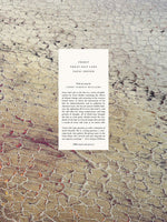 Book cover for Fazal Sheikh: Thirst, Great Salt Lake