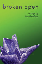 Book cover for Broken Open