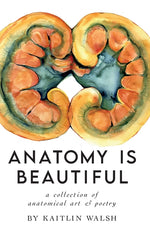 Book cover for Anatomy Is Beautiful
