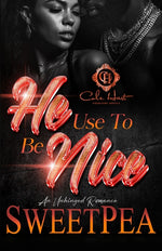 Book cover for He Use To Be Nice: An Unhinged Romance