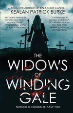 Book cover for Widows of Winding Gale