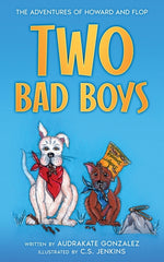 Book cover for Two Bad Boys