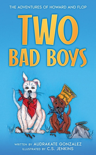 Book cover for Two Bad Boys
