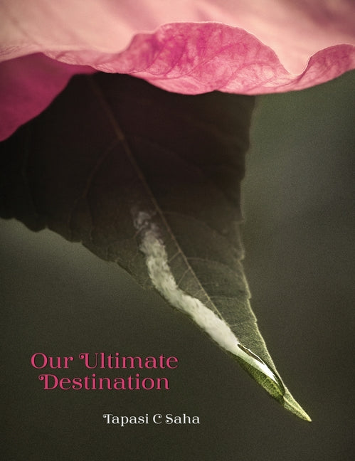 Book cover for Our Ultimate Destination