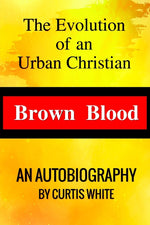 Book cover for Brown Blood: The Evolution of an Urban Christian