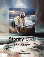 Book cover for Stormy Quiets The Storm