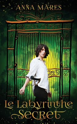 Book cover for Le labyrinthe secret