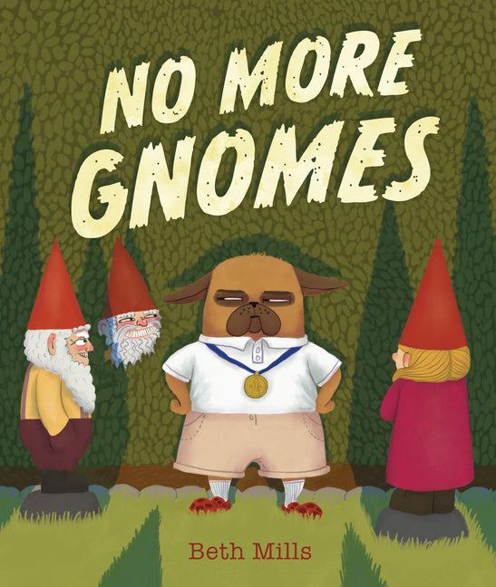Book cover for No More Gnomes