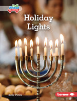 Book cover for Holiday Lights